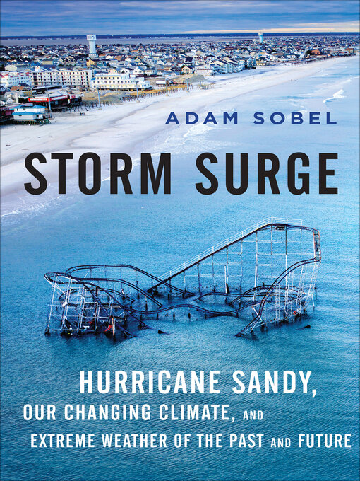 Title details for Storm Surge by Adam Sobel - Wait list